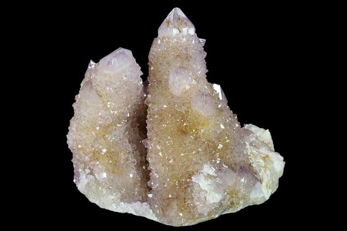 Cactus Quartz (Amethyst) Crystal Cluster - South Africa #134333